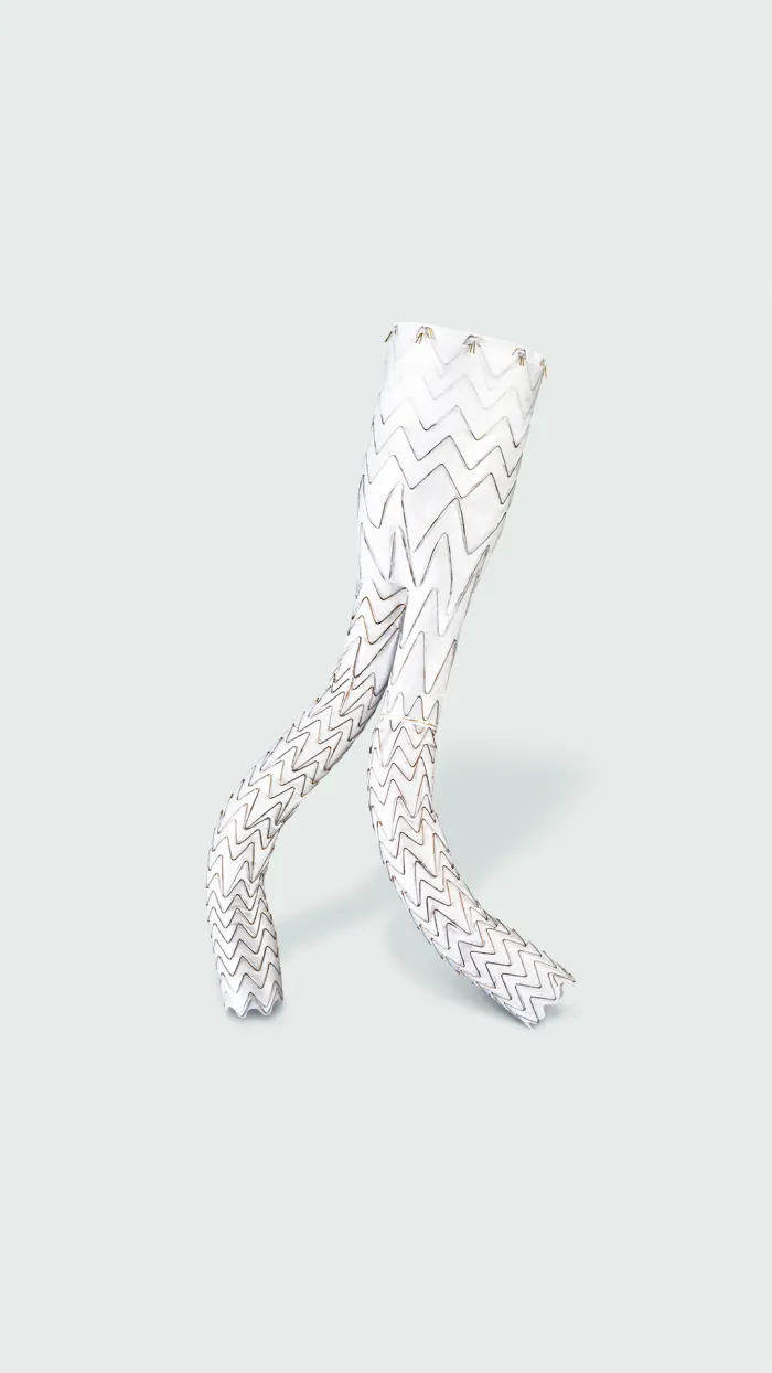 大動脈領域 エクスクルーダー