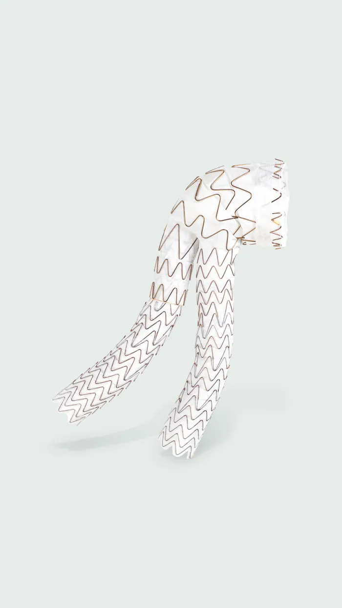 大動脈領域 エクスクルーダー コンフォーマブル 