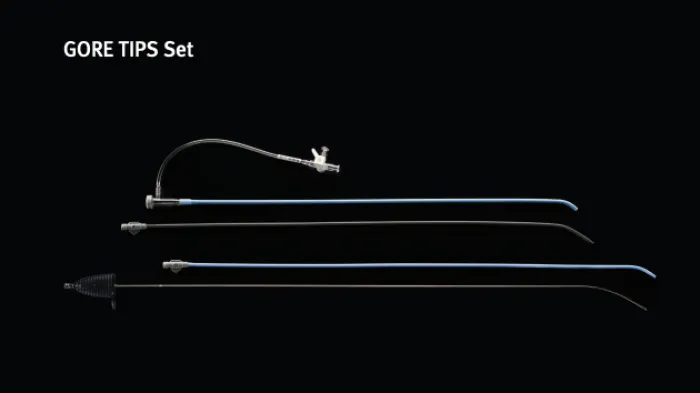 GORE TIPS Set brochure