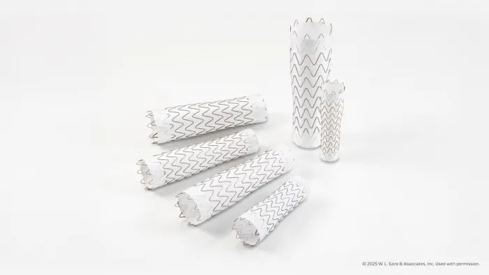 GORE® TAG® Conformable Thoracic Stent Graft with ACTIVE CONTROL System Products on a White Background