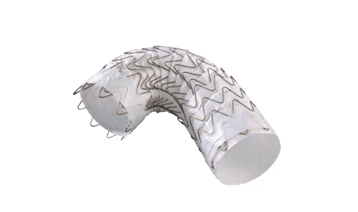 GORE® TAG® Conformable Thoracic Stent Graft