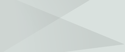 Light gray-300