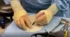 Watch LeBlanc surgical video