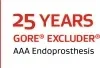 25 Years GORE EXCLUDER AAA Endoprosthesis