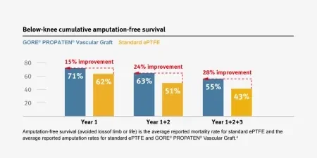 Below-knee cumulative amputation-free survival