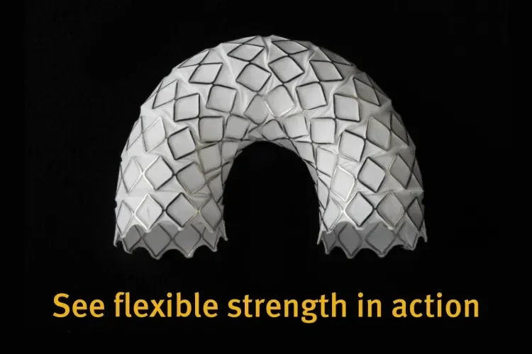see flexible strength in action