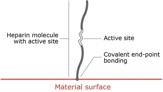 CBAS® Heparin Surface Technology - covalent end-point bonding