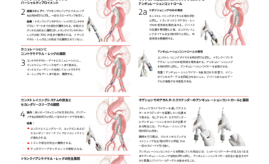 Image resource