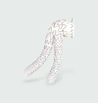 aortic excluder conformable