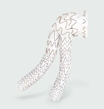 aortic excluder conformable