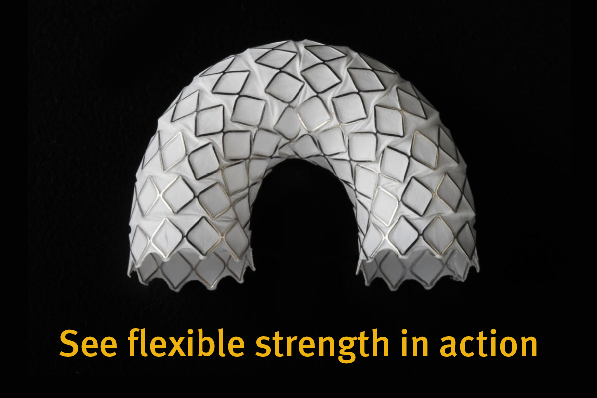 see flexible strength in action